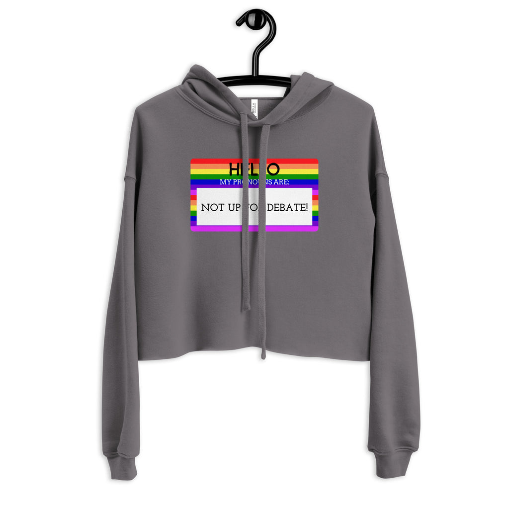 Storm Hello My Pronouns Are Not Up For Debate Crop Hoodie by Queer In The World Originals sold by Queer In The World: The Shop - LGBT Merch Fashion